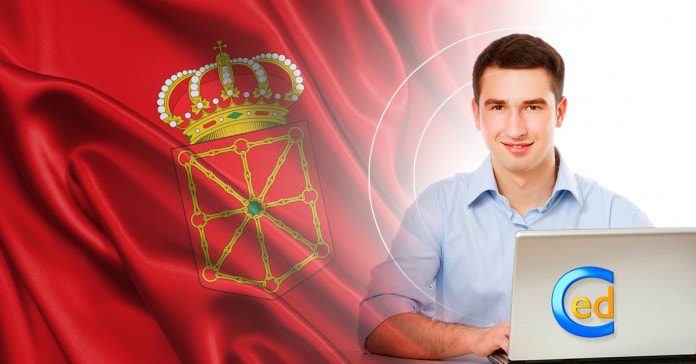 navarra bandera navarra