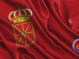 bandera navarra
