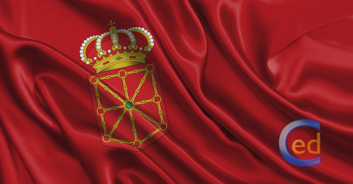 bandera navarra