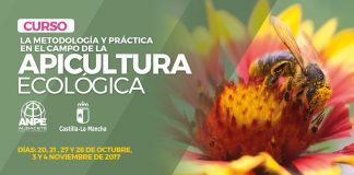 apicultura ecológica