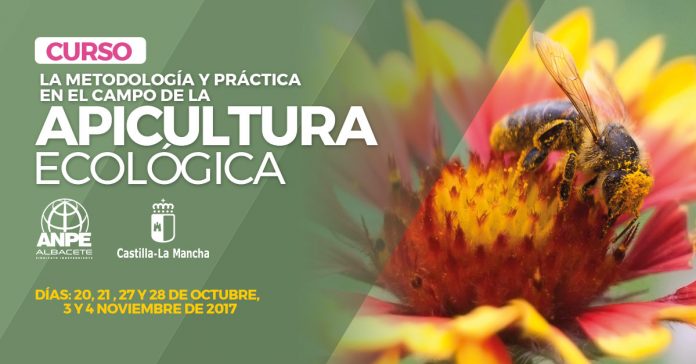 apicultura ecológica