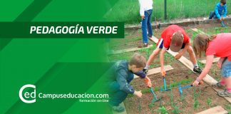 pedagogía verde