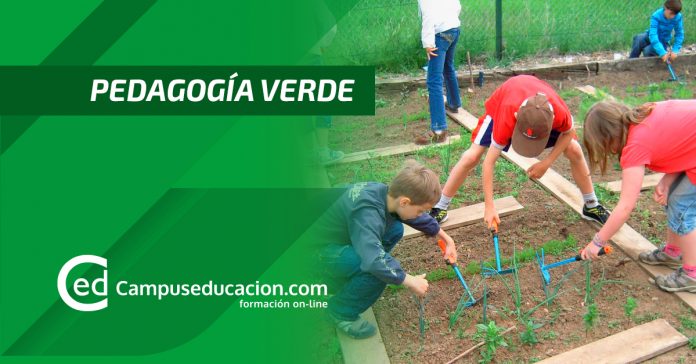 pedagogía verde
