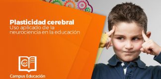 plasticidad cerebral