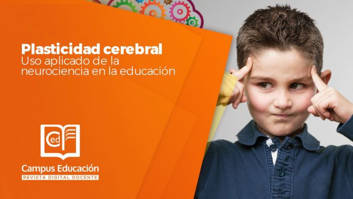 plasticidad cerebral