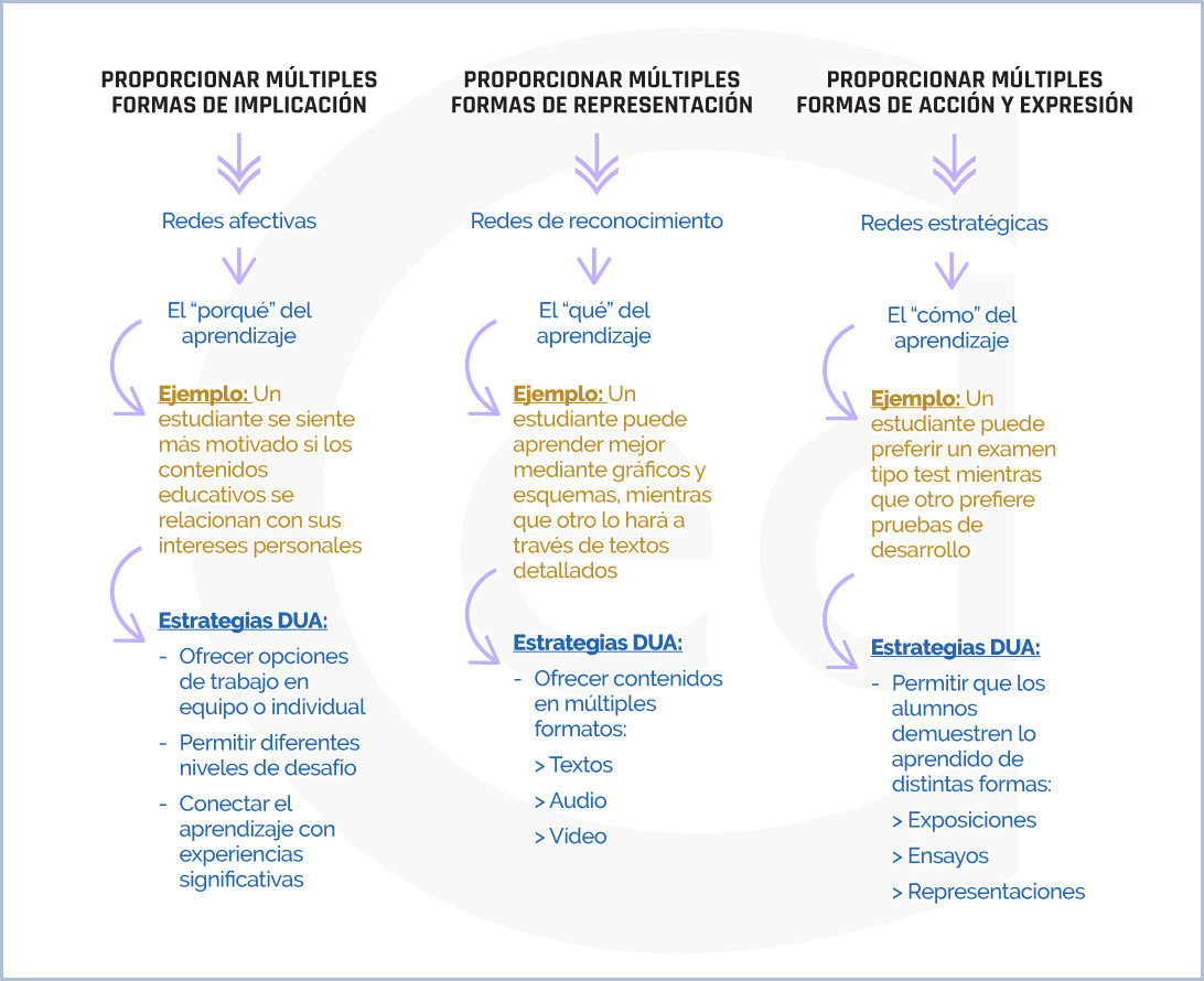 Ejemplos y estrategia/pautas en DUA según cada principio y red neuronal implicada